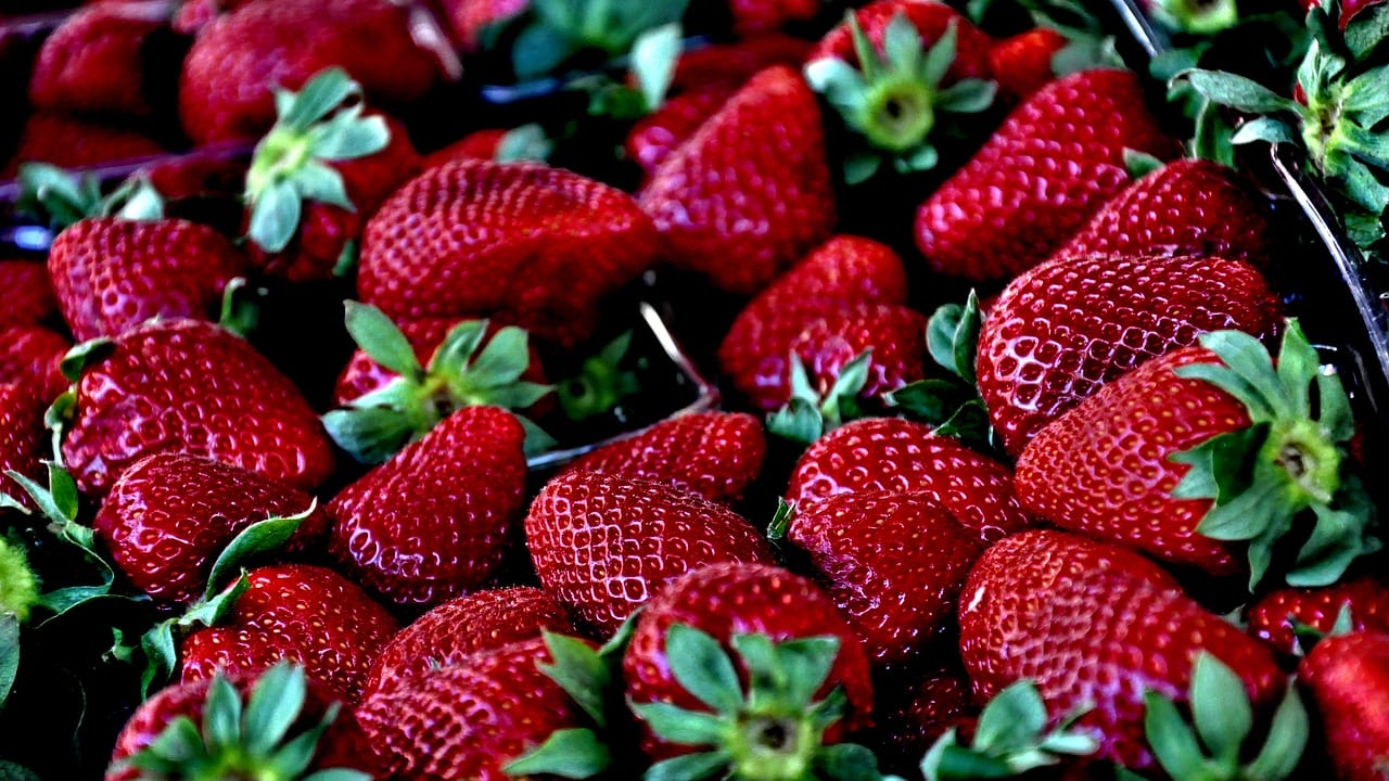 Virus de l’hépatite dans les fraises du Maroc – Portail du verger avec forum