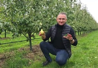 Grusza Konferencja - zabiegi pozbiorcze i miodówka, 03.10.2025