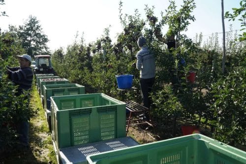 Transport płodów rolnych – będą zmiany w przepisach?