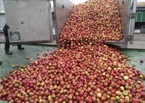 Polscy producenci żywności w gorszej sytuacji niż importerzy spoza UE