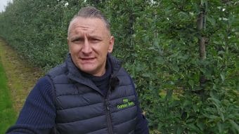 Zabiegi pozbiorcze w sadach jabłoniowych, 17.10.2025