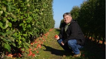 #11 Komunikat sadowniczy Zbigniew Marek, 20.10.2025