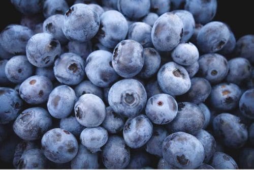 Rynek borówki w Chinach rośnie w rekordowym tempie