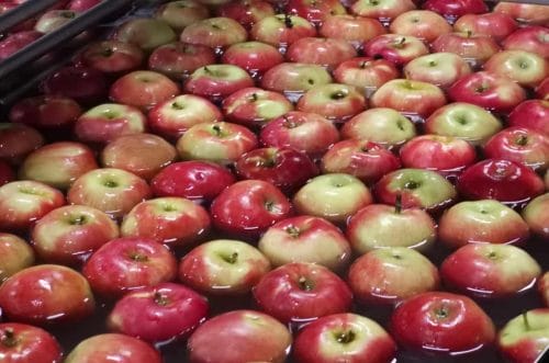 Więcej polskich owoców w Azji Centralnej? Polska i Kazachstan wzmacniają współpracę rolną