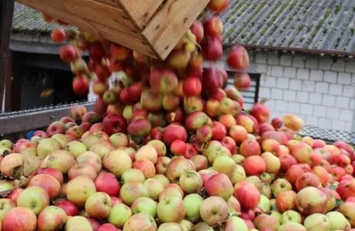Nadpodaż koncentratu i spadek cen