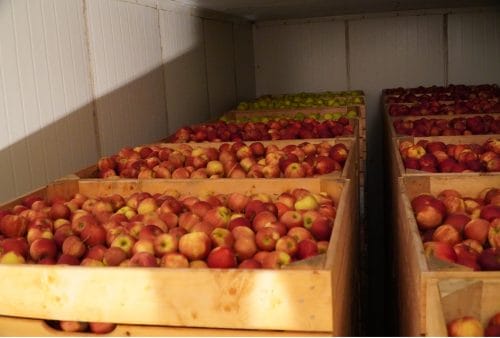 Faktury po wnioskach o pomoc. PGE wyjaśnia przyczyny