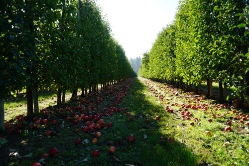 Słoneczny początek weekendu. W niedzielę więcej chmur i deszczu