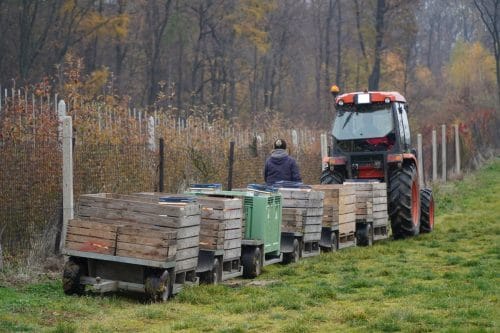 Niemcy: tragiczny wypadek w sadzie – Polak w ciężkim stanie po porażeniu prądem