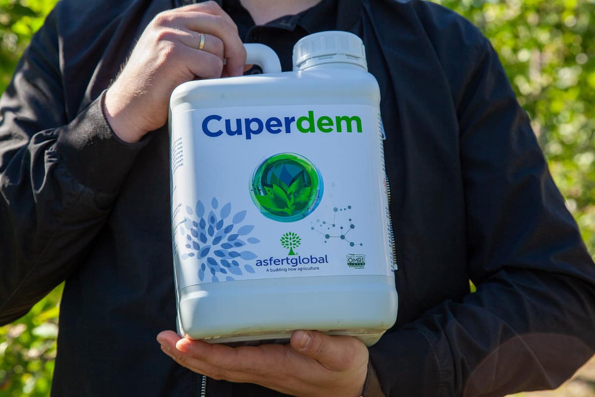 cuperdem
