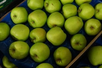 Jak zarobić więcej na produkcji jabłek?