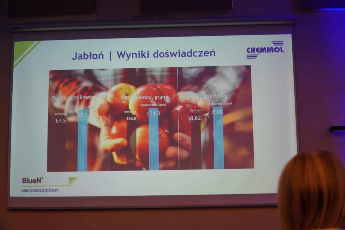 wyniki