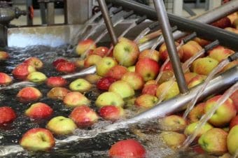 Ceny jabłek deserowych w grupach producenckich [18.11.2022]