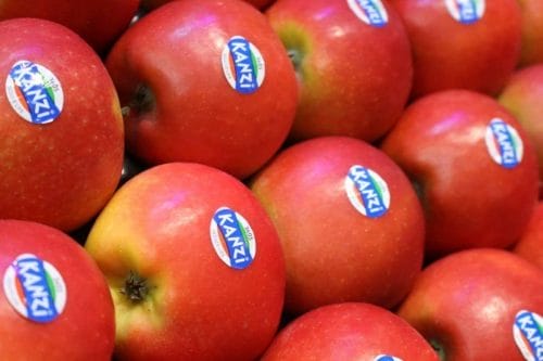 Rośnie produkcja jabłek klubowych w Europie