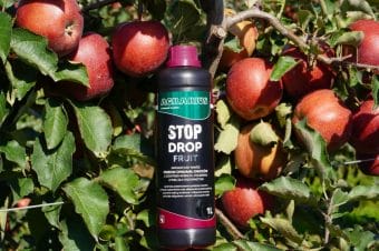 Jak zatrzymać owoce na drzewie? STOP DROP FRUIT to jedyny słuszny wybór!