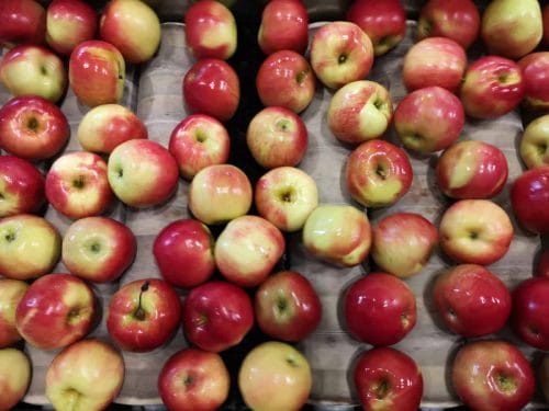 Jest nadzieja, że eksport jabłek do Egiptu wróci do normalnego poziomu