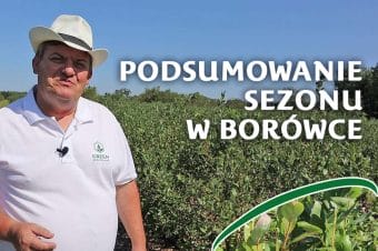Podsumowanie sezonu w Błesznie, nawożenie borówki w sierpniu - Zbyszek Marek