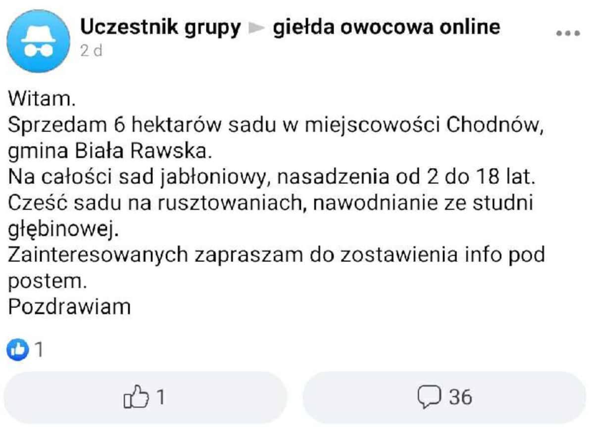 ogloszeniesprzedamsad