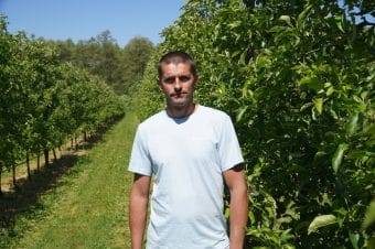 Owocówka jabłkóweczka – czas na pierwszy zabieg