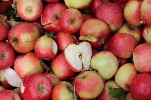 Cena koncentratu jabłkowego bije rekordy. "Nie ma powodu, dla którego ceny miałyby być niższe"