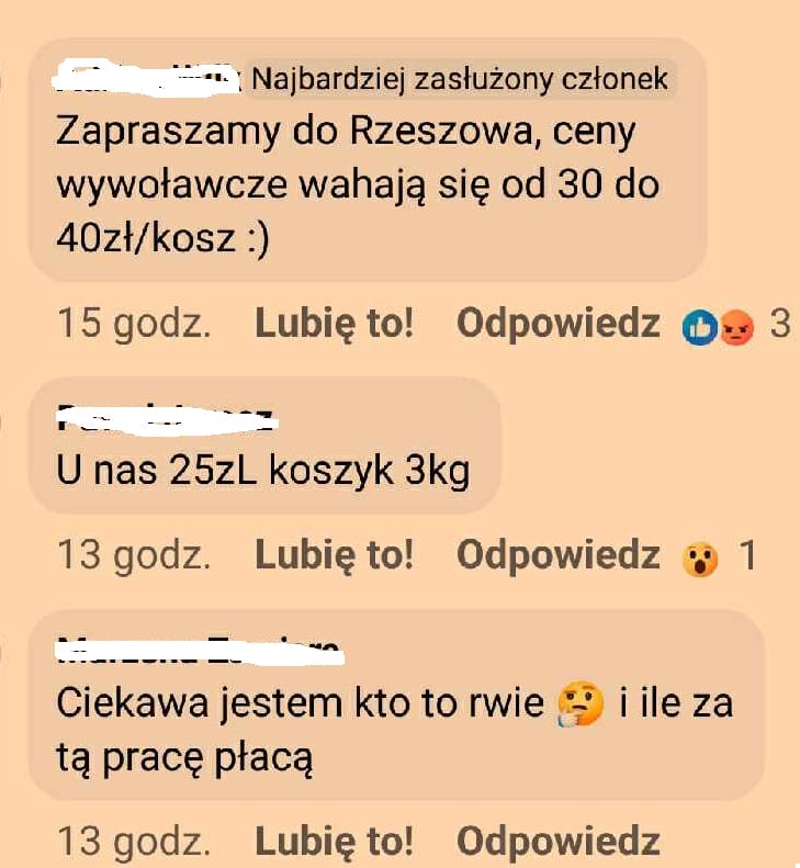 ogloszenie fb