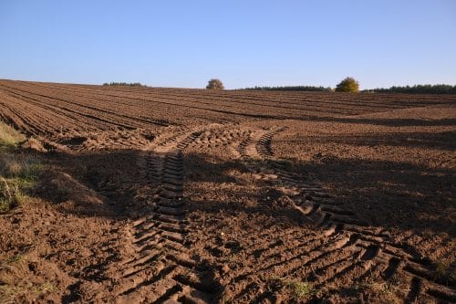 Trwają prace nad definicją rolnika aktywnego zawodowo, ustawą o dzierżawie rolniczej i przepisami chroniącymi funkcje produkcyjne wsi