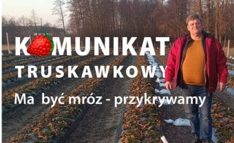 Pierwszy komunikat truskawkowy - Zbigniew Marek