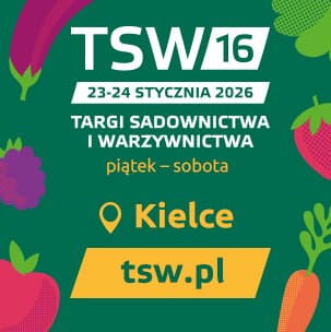 TSW