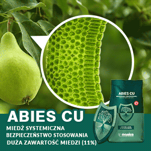 Abies