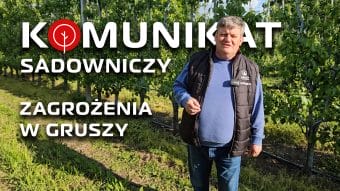Jak sobie radzić z problemem pseudomonas w gruszy - Komunikat sadowniczy - Zbyszek Marek