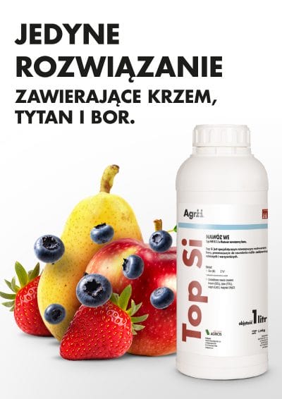 Topsi