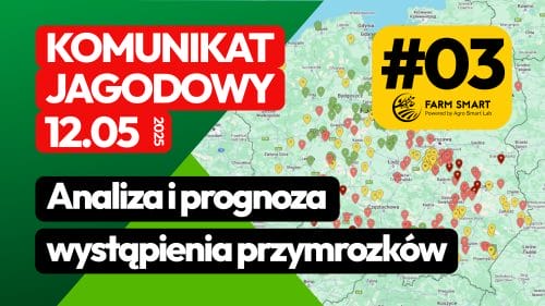 Analiza i prognoza wystąpienia przymrozków – Komunikat jagodowy 12.05.2025
