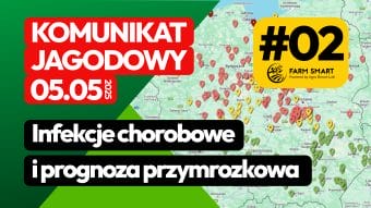 Komunikat jagodowy: infekcje chorobowe i prognoza przymrozków 05.05.2025
