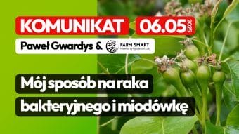 Sposób na raka bakteryjnego i miodówkę