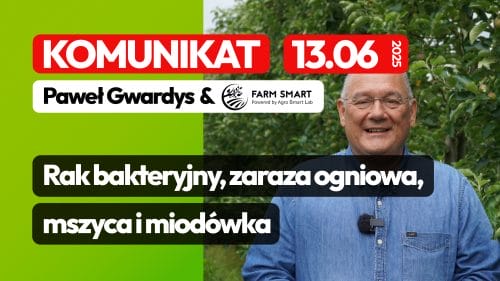Komunikat sadowniczy: rak bakteryjny, zaraza ogniowa, mszyce i miodówka - 13.06.2025