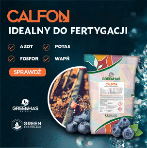 Calfon