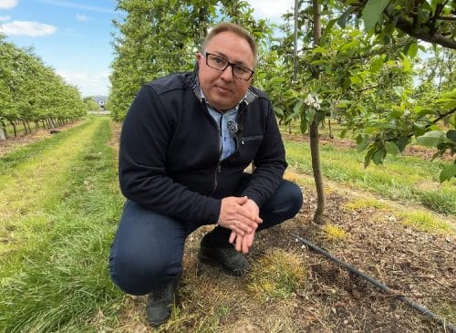 Kwasy humusowe – jesień czy wiosna?