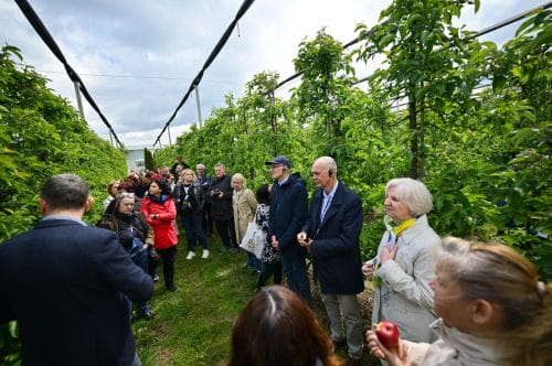 Szefowie służb fitosanitarnych UE w "największym sadzie Europy"