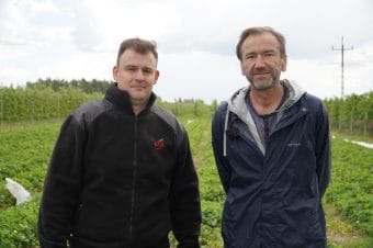 Wydłużenie zbiorów i trwałości owoców🍓