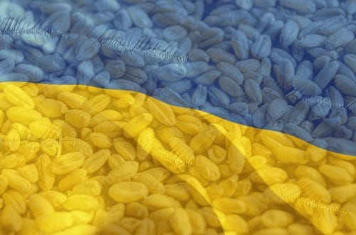 Wsparcie dla Ukrainy tak, ale nie kosztem unijnych rolników – apel o zrównoważoną umowę handlową