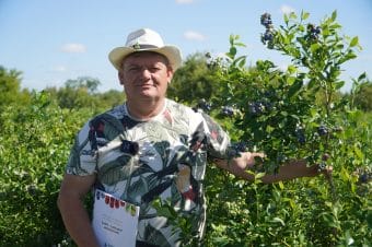Borówka tuż przed zbiorami - zalecenia, Zbigniew Marek 27.06.2025