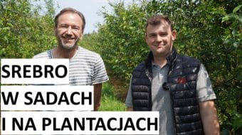 Moc srebra w sadach i na plantacjach w trudnym sezonie