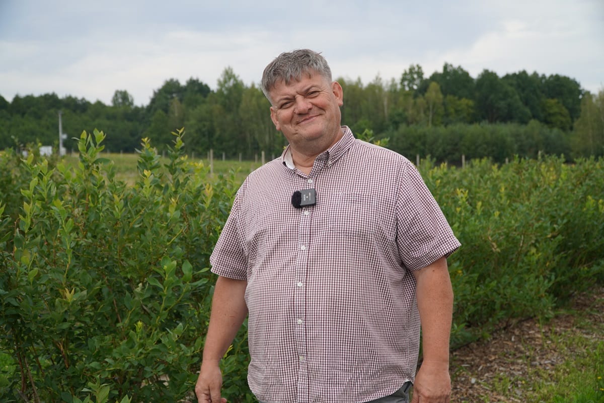 Borówka po zbiorach – nawożenie to konieczność, Zbigniew Marek, 8.08.2025