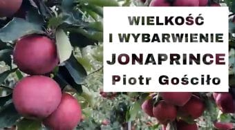 Wielkość i wybarwienie JONAPRINCE - Komunikat sadowniczy - Piotr Gościło