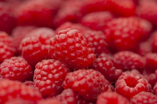 Importowana żywność pod lupą IJHARS