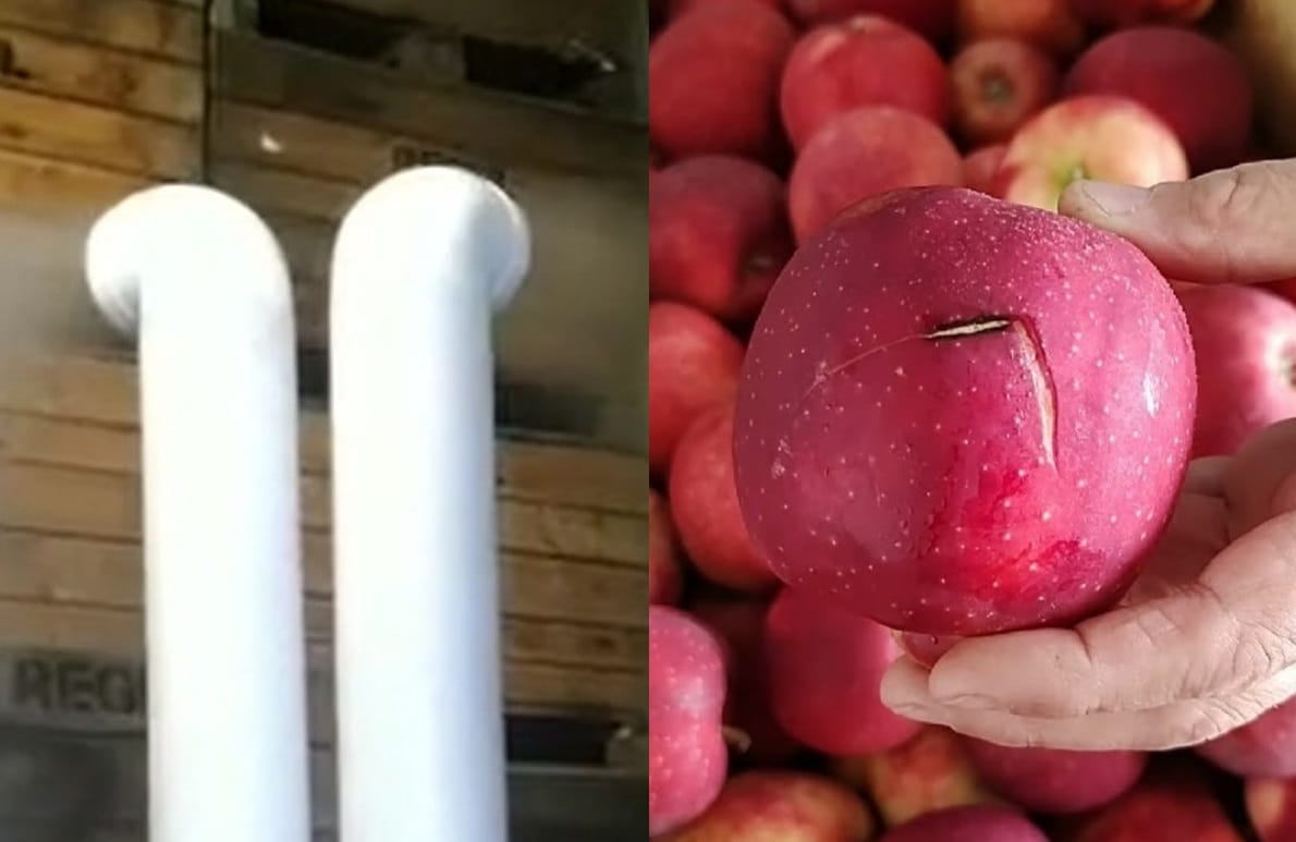 Zamgławianie owoców – nowy standard w przechowalnictwie