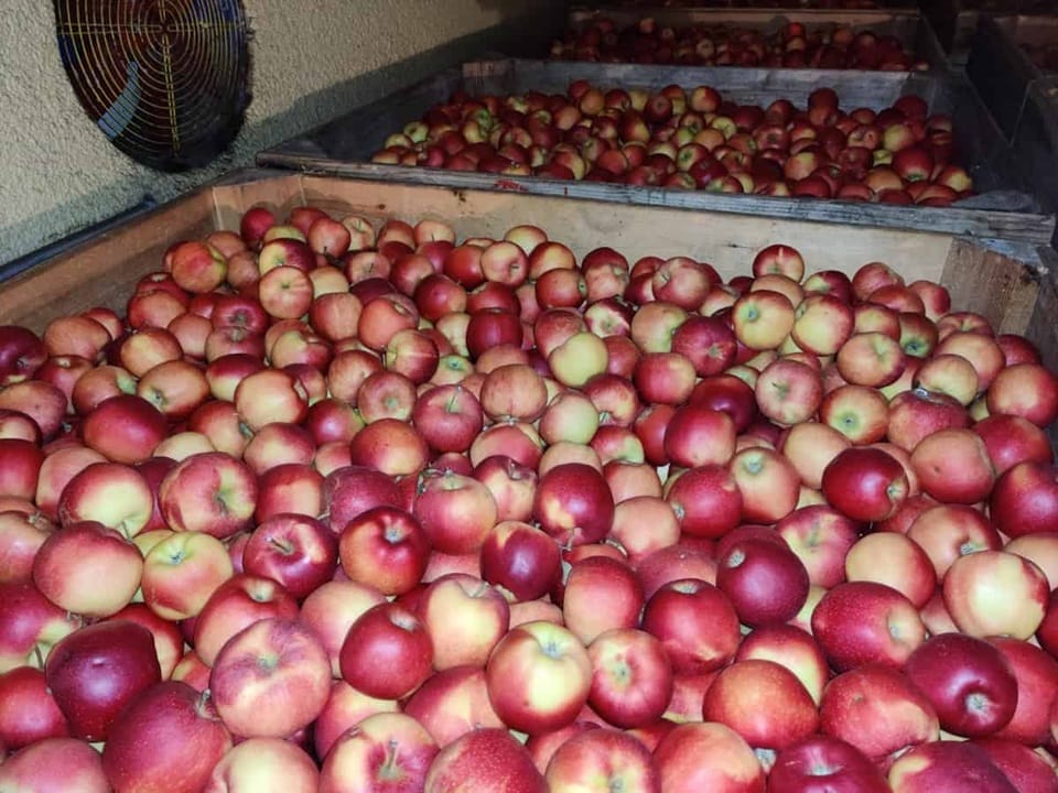 Ciężko sprzedać jabłka