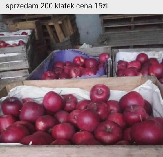 Szybkie zbiory, niskie ceny