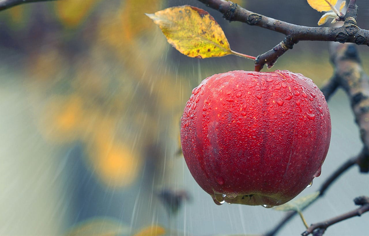 Nadciąga arktyczne powietrze: mokry i zimny tydzień przed nami