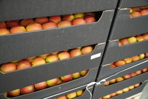 Przejścia graniczne z Białorusią w Bobrownikach i Kuźnicy otwarte