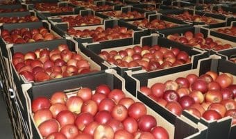 Eksport, WDT i clickbait